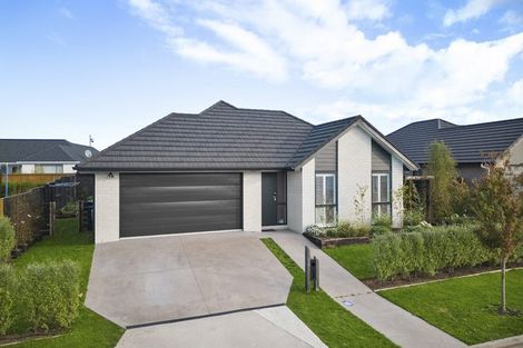 Photo of property in 24 Ruru Street, Cambridge, 3434