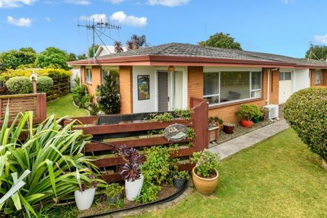 Photo of property in 137 Bellevue Road, Brookfield, Tauranga, 3110