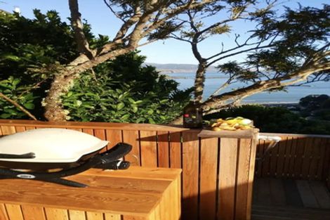 Photo of property in 49 Hornsey Road, Melrose, Wellington, 6023