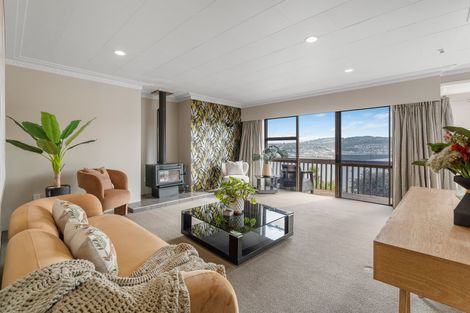 Photo of property in 40 Shandon Road, Vauxhall, Dunedin, 9013