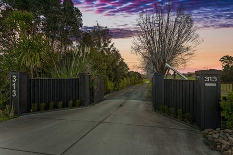 Photo of property in 313 Postman Road, Dairy Flat, Albany, 0794