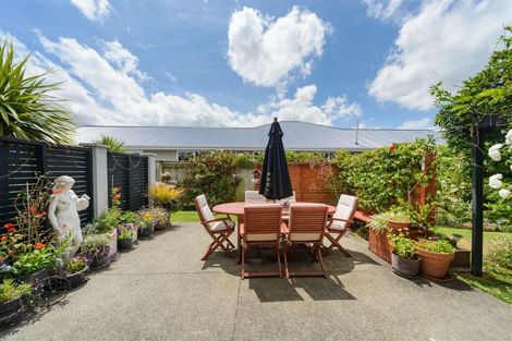 Photo of property in 36 Accolade Street, Feilding, 4702