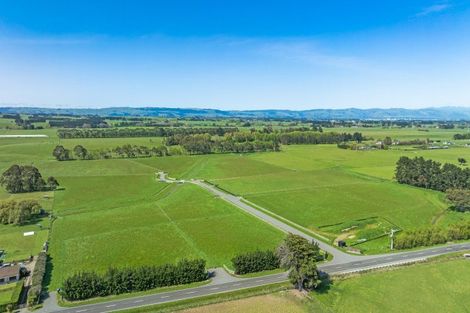Photo of property in 434 Taonui Road, Aorangi, 4775