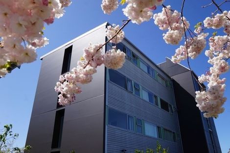 Photo of property in 253 Hereford Street, Christchurch Central, Christchurch, 8011