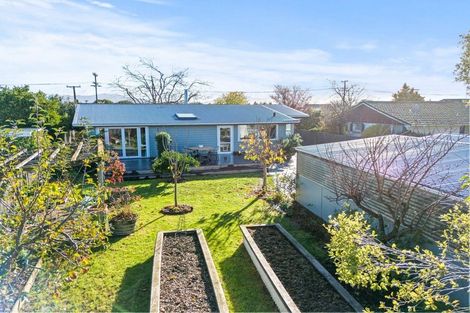 Photo of property in 11 Gilbert Street, Witherlea, Blenheim, 7201