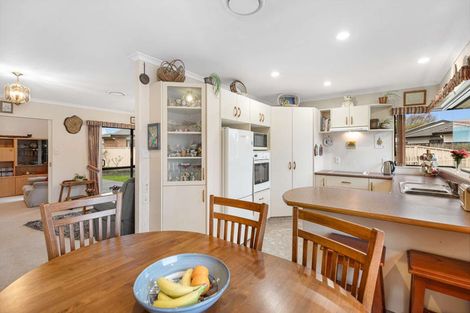 Photo of property in 3 Celtic Court, Roslyn, Palmerston North, 4414