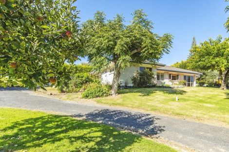 Photo of property in 7 Miles Lane, Tauriko, Tauranga, 3110