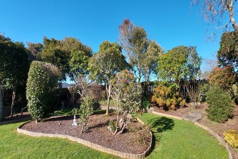 Photo of property in 51 Celia Street, Stratford, 4332