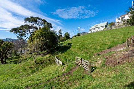 Photo of property in 101 Maryhill Terrace, Maryhill, Dunedin, 9011