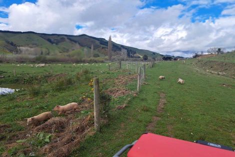 Photo of property in 318 Tadmor Valley Road, Tapawera, Wakefield, 7096