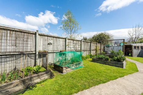 Photo of property in 32 Tureiti Place, Turangi, 3334