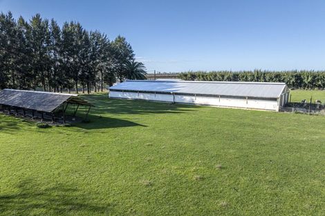 Photo of property in 25 Stock Road, Pakipaki, Hastings, 4172