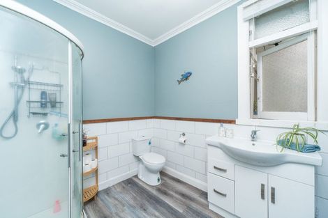 Photo of property in 45 Miro Street, Takaro, Palmerston North, 4410