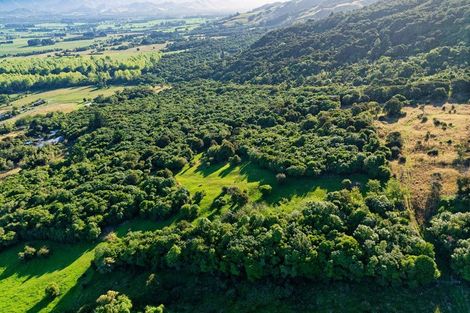 Photo of property in Mount Fyffe Road, Kaikoura Flat, Kaikoura, 7371