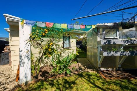 Photo of property in 41 South Bay Parade, South Bay, Kaikoura, 7300