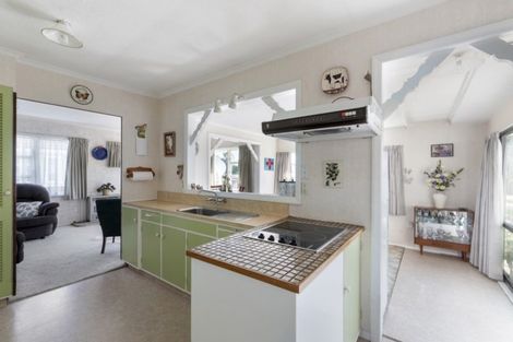 Photo of property in 52 Trafalgar Street, Levin, 5510