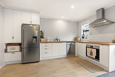 Photo of property in 3u1 Charlemont Street, Whitiora, Hamilton, 3200