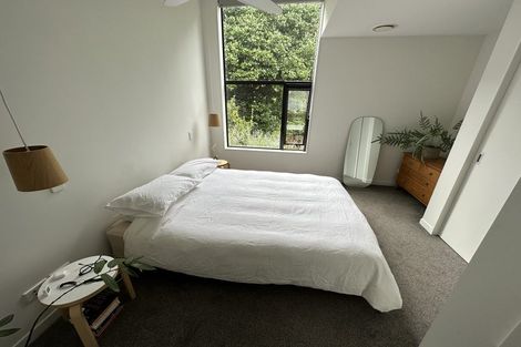 Photo of property in Nouvo Apartments, 21u9 Rugby Street, Mount Cook, Wellington, 6021