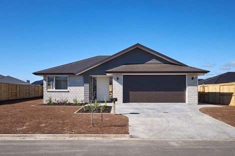 Photo of property in 49 Kahuparere Crescent, Pyes Pa, Tauranga, 3112