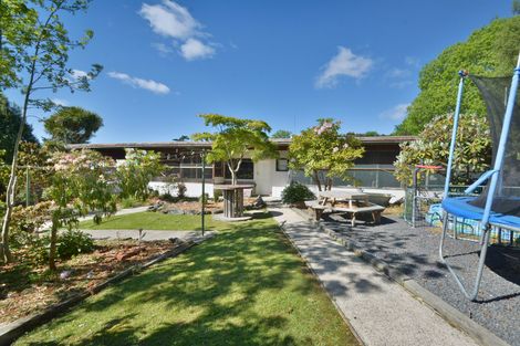 Photo of property in 97 Glenelg Street, Bradford, Dunedin, 9011