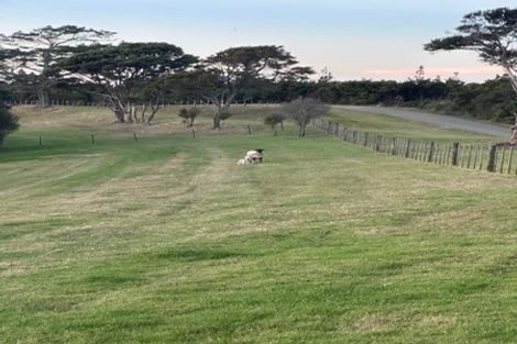 Photo of property in 225 Zanders Road, Helensville, 0882