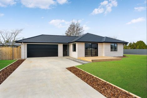 Photo of property in 5 Market Street, Lansdowne, Masterton, 5810