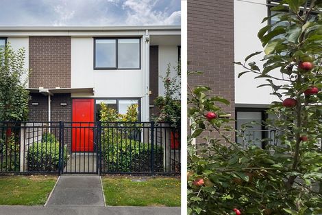 Photo of property in 24/10 Rex Street, Riccarton, Christchurch, 8041