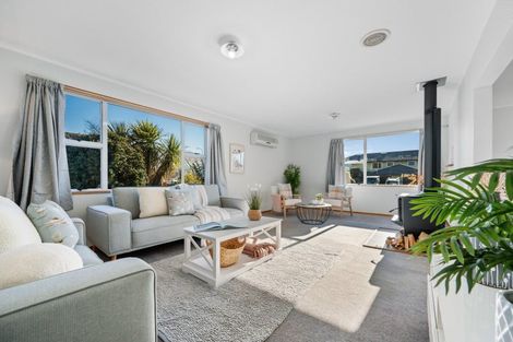 Photo of property in 116 Neplusultra Street, Cromwell, 9310