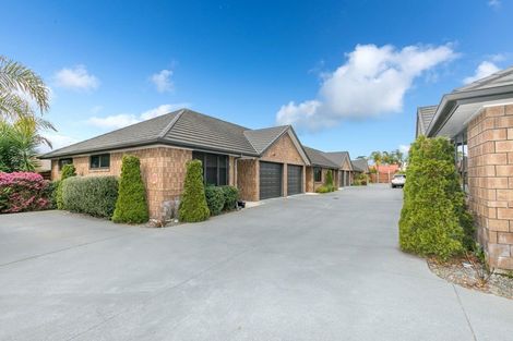 Photo of property in 28u9 Fifth Avenue, Enderley, Hamilton, 3214