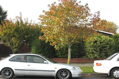 Photo of property in 30a Maidstone Road, Ilam, Christchurch, 8041
