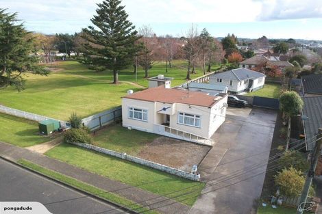 Photo of property in 81 Parker Avenue, Levin, 5510