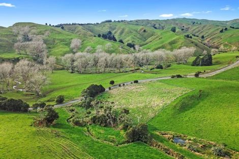Photo of property in 442 Waipuna Road, Waerenga, Te Kauwhata, 3781