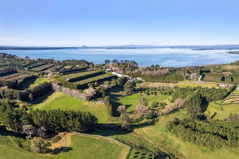 Photo of property in 297 Kauri Point Road, Tahawai, Katikati, 3170