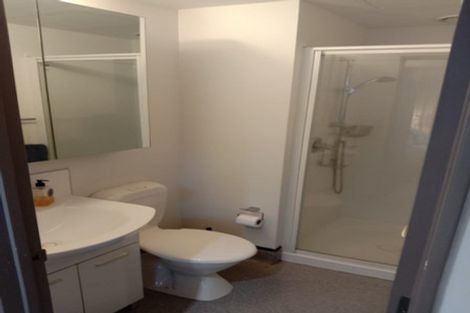 Photo of property in Dual Apartments, 108/142u Vivian Street, Te Aro, Wellington, 6011