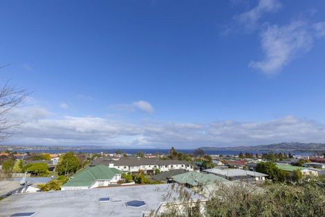 Photo of property in 19 Wheretia Street, Taupo, 3330