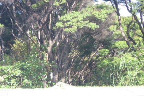 Photo of property in 68 Manuka Road, Glenfield, Auckland, 0629