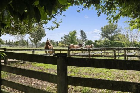 Photo of property in 1280 Omanawa Road, Omanawa, Tauranga, 3171