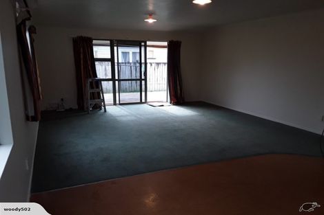 Photo of property in 217 Dey Street, Hamilton East, Hamilton, 3216