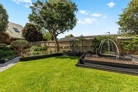 Photo of property in 14a Colesbury Street, Bishopdale, Christchurch, 8053