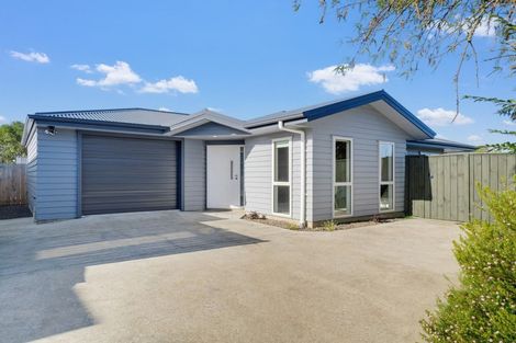 Photo of property in 145 North Street, Feilding, 4702