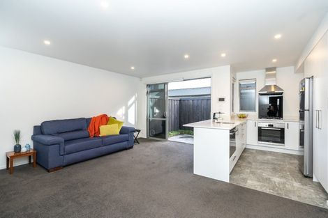 Photo of property in 17u2 Manning Street, Hamilton Central, Hamilton, 3204