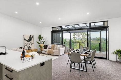 Photo of property in 21u2 Manning Street, Hamilton Central, Hamilton, 3204