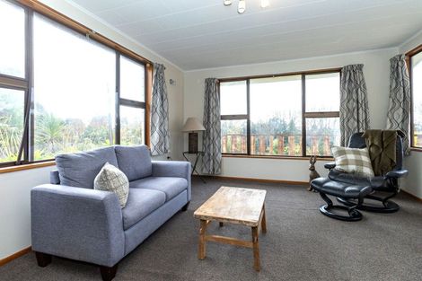 Photo of property in 14 Coulter Place, Geraldine, 7930