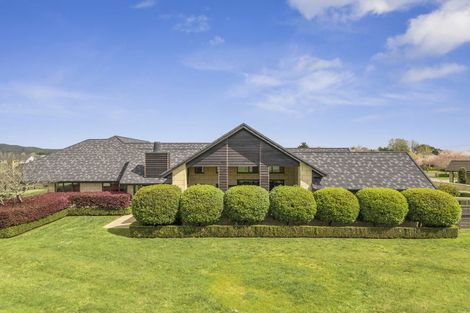 Photo of property in 155 Amelia Place, Leamington, Cambridge, 3432