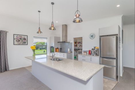 Photo of property in 116 Gladstone Road, Levin, 5571