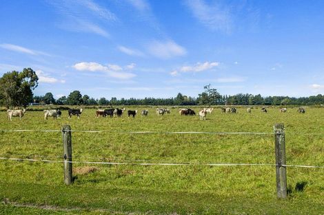 Photo of property in 221 Smiths Road, Leithfield, Amberley, 7481