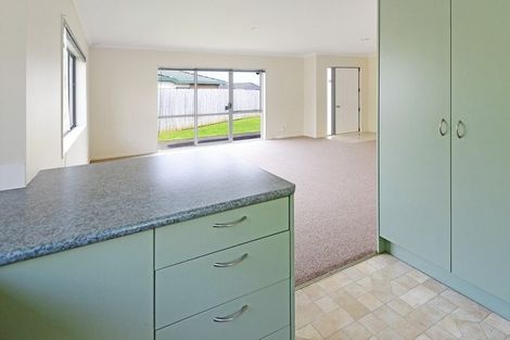 Photo of property in 17 Liddesdale Place, Papakura, 2110