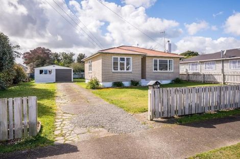 Photo of property in 25 Middlesex Street, Levin, 5510