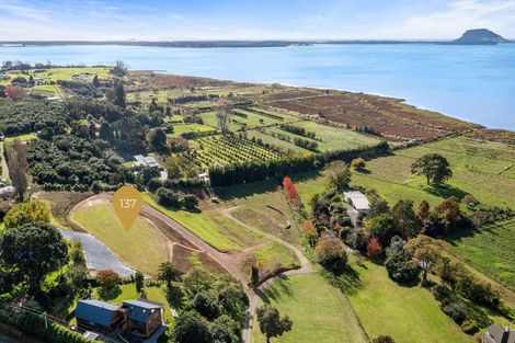 Photo of property in 137 Lochhead Road, Te Puna, Tauranga, 3176