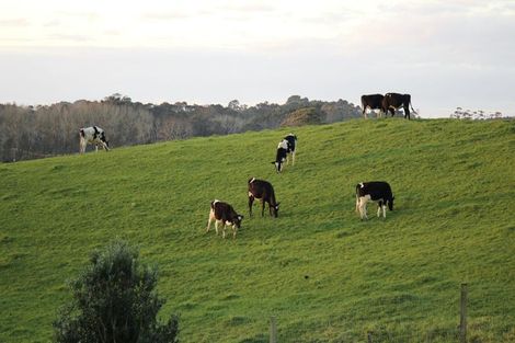 Photo of property in 78c Hyland Place, Waiuku, 2681